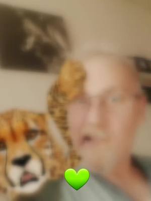 A post by @ludocoremans on TikTok caption: 💚 meer volgens aub