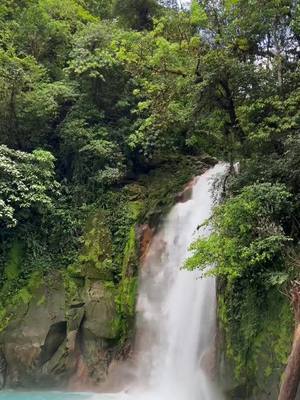 A post by @sophelino on TikTok caption: Vom Ziplinen hab ich leider keine Videos 😂🐍 #costarica #costarica🇨🇷 #travelvlog #strizi09