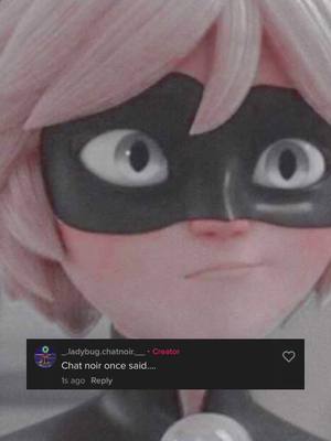 A post by @_.ladybug.chatnoir.__ on TikTok caption: Cat noir once said part… 13!! 😄 #miraculoustalesofladybugandcatnoir #ladybug #chatnoir #chatnoironce #fypシforyoupage