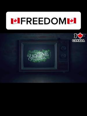 A post by @freedomconvoytiktok on TikTok caption: #convoytoottawa2022 #mandatefreedom #fucktrudeau #letsgocanada #itsnotover @bestdamnroofershow #mrfreedom #canadianproud