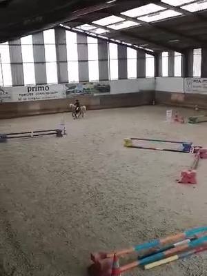 A post by @poney.club.au.2d on TikTok