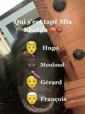 A post by @dit_oui_stpppp on TikTok caption: #pourtoi #drole #mia #question #reflexion