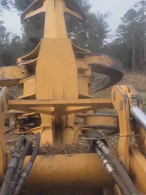 A post by @arrontelles on TikTok caption: The pollen is here #logging  #loggingislife  #Outdoors #pollen #pollenseason  #allergies #spring #springtime