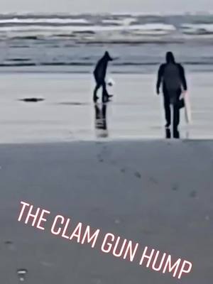 A post by @chelsea_dearinger on TikTok caption: #EasyWithAdobeExpress #beach #clammingoregoncoast #clamming #SmellLikeIrishSpring #drinkingthecomments #clams #razorclams