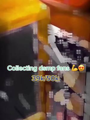 A post by @dsmp.edxs on TikTok caption: Collecting dsmp fans 😍😍#dsmp #dsmpfp #dsmpedit #fyp #fypシ #viral #viralvideo #fypシ #dsmp