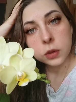 A post by @_anna_mikhailovna on TikTok caption: #рекомендации