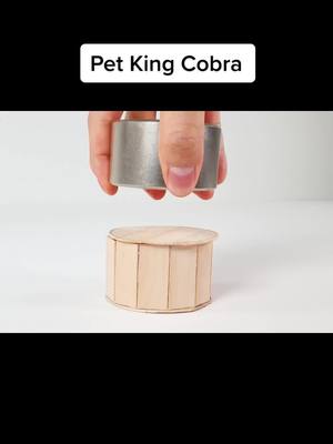 A post by @manualtechnology on TikTok caption: Magical handmade King Cobra #orginality #manual