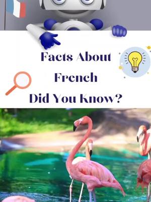 A post by @learnfrenchlpe on TikTok caption: French Fact #learnfrench #wildlife #frenchlanguage #frances #bilingual #polyglot #birds #nature #gooutside #animals #spring #learnsomethingnew #howto #french #LearnOnTikTok #studytok #AdventureVibes