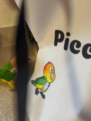 A post by @pico_n_ollie on TikTok caption: Okay but I love this tote bag #iwoulddieforpico #caiques #birdsoftiktok