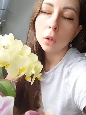 A post by @_anna_mikhailovna on TikTok caption: #tiktok