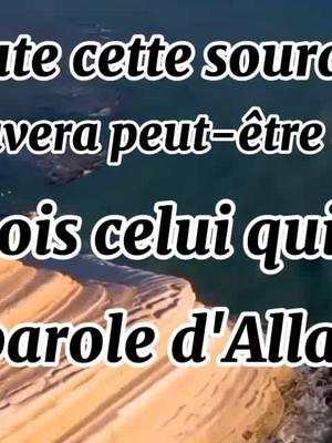 A post by @islam_rappel26 on TikTok caption: #islam #fypシ #pourtoi 🤍🤲🏽