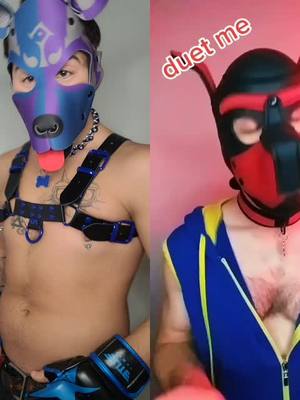 A post by @bastionbuffpup on TikTok caption: #duet with @grumpy1z Bastion's interview #pupplay #pupplaycommunity #tiktokpup #funnybit #woof #lgbtqplus