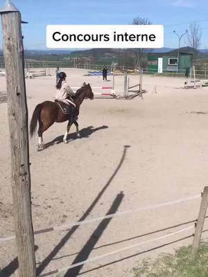 A post by @poney.club.au.2d on TikTok caption: Vaccara de la garde #pourtoi