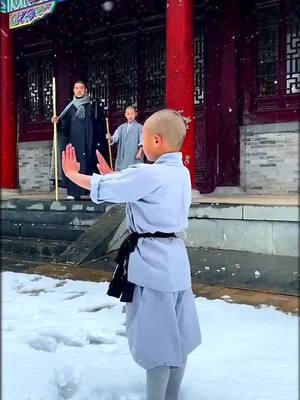 A post by @chinesekungfu13 on TikTok caption: #gongfu #fyp #martialartist #kungfu