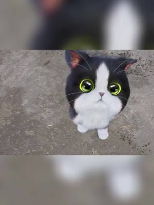 A post by @easehere.com on TikTok caption: Poor kitty need help! #kittenmatch #petbestfriend #cutecat #game #foryou