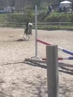 A post by @poney.club.au.2d on TikTok caption: Run …!!!!!