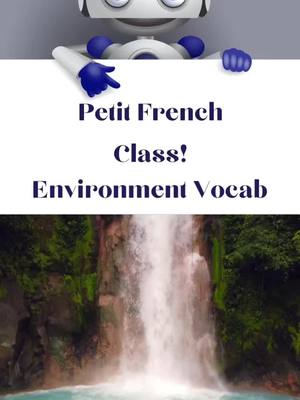 A post by @learnfrenchlpe on TikTok caption: French Vocab #learnfrench #frenchlanguage #frances #bilingual #polyglot #learnsomethingnew #AdventureVibes #howto #studytok #animals #wildlife #ecofriendly #Sustainability #gogreen #french