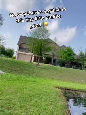 A post by @ on TikTok caption: This is y’all’s sign to fish that tiny spot! #pond#pondfishing#johnlenon#PassTheBIC#ComeDanceWithMe#fyp#texas#fish#fishing#Outdoors#inside#outside#katy#cincoranch#texasfishing#katyasparrowasianfishing#rod#reel#combo#like#follow#share#fff#followforfollowback👍#likeforlike#shareforshare#help#noway#surprise#shock#petite#