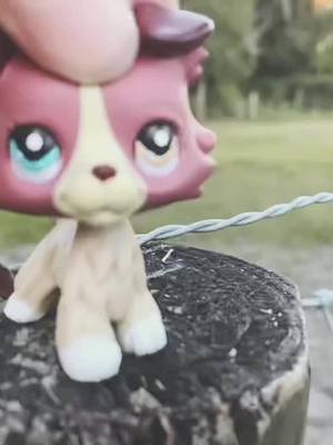 A post by @brightskies.lps on TikTok caption: Reposting one of our most popular videos trying to get us on the fyp again!! #lpstiktok #lps #lpscustom #littlestpetshop #littlestpetshops