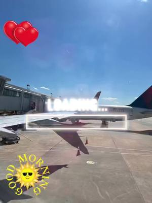 A post by @dnaber1 on TikTok caption: #CapCut #flyaway #Home #NorthCarolina #vacationover🙄