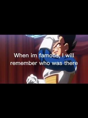 A post by @__iam.vegeta on TikTok caption: #vegeta #dragonballz