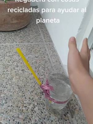 A post by @naomi_zamorita on TikTok caption: Mañana voy a sembrar más rábanos #plantas #recicla #parati #fyp #foryou #foryoypage #ayudaalplaneta #salvemoselplaneta