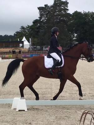 A post by @emma_las_vegas on TikTok caption: Ma star ⚜️ #pourtoi #fypシ #foryoupage #dressage #concoursequitation #fontainebleau