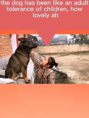 A post by @jpetdog6 on TikTok caption: Dogs can tell the difference between adults and children in their hearts.#Humans love dogs, and dogs repay humans.