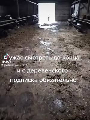 A post by @valentin_popov1297 on TikTok caption: Ужас наводит сдесь Евгения