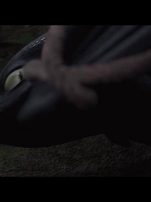 A post by @hayleyswifees on TikTok caption: this scene>> #httyd #howtotrainyourdragon #fyp #toothless #hiccup #hiccupandtoothless