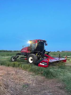 A post by @lukemitch650 on TikTok caption: Laying the first round of the wheat down in New Mexico 🌾💨! #Totinos425 #robinsonfarms #america #harvest2022 #swathing #mcdon