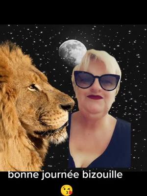 A post by @babette1530 on TikTok caption: #bonnejournee  #lion  #photo  #bizouilleslesloulous🥰