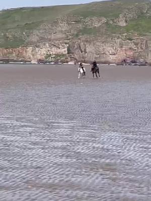 A post by @mayalcx on TikTok caption: No better feeling🤩 #gallopinghorse #galloping #beachvibes #horsesontiktok #fypシ #foryou #foryoupage #foryoupageofficiall #foryoupage❤️❤️