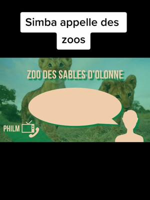 A post by @philmcanular on TikTok caption: Philm-YouTube #leroilion #blague #simba #philm #pourtoi #film