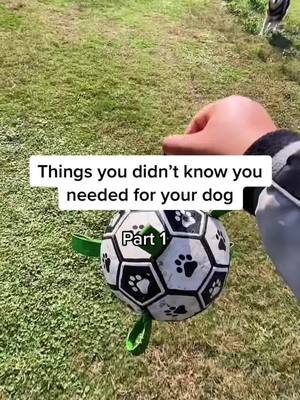 A post by @puppyshouse on TikTok caption: Things you didn’t know you needed part 1 #dogtoy #football #dogofticktok #dogtoys #pettoys #petoftiktok #dogproducts