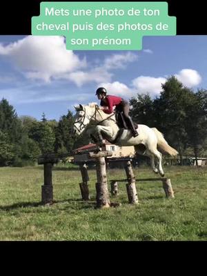 A post by @pepouze.e on TikTok caption: Alors ?🤔 #horse #foru #cheval #horserider