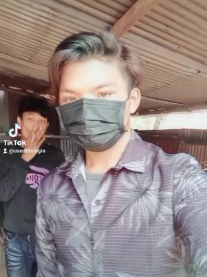 A post by @user88singie on TikTok caption: #VoiceEffects