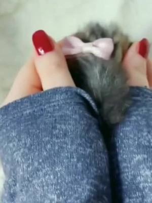 A post by @lifetip22 on TikTok caption: #cutepet #fypシ