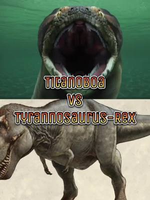 A post by @knightsky123456 on TikTok caption: Reply to @jmz_elite #titanoboa #vs #fight #tyranosaurusrex #snake #dinosaur