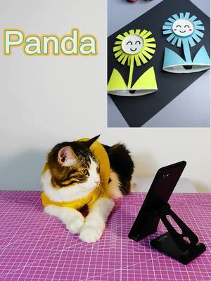 A post by @funnypety on TikTok caption: Can you let your cat do handicrafts with Panda?#cat #DIY