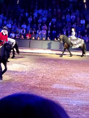 A post by @capcut.geilo on TikTok caption: #cavaluna #apassionata #pferd #show #horse #gallop #lippizaner