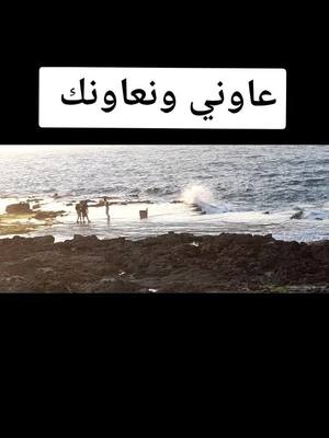 A post by @moune19870 on TikTok caption: بحر #بو سيجور  الجديدة#