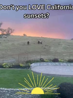 A post by @frederickpenney1 on TikTok caption: DON’T YOU LOVE CALIFORNIA SUNSETS?                     #californiasunset #sunset #lawyersoftiktok #belties #beltiesoftiktok #countrylife #sunsets #oaktrees