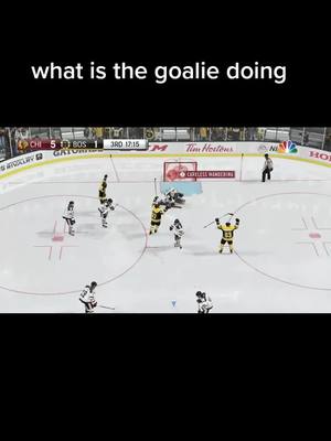 A post by @ on TikTok caption: tf it's glitched out #NHL #hockey #nhl17  #nhl21  #nhl20  #sports #goofyahh  #funny #glitch @zickerkick lmafo #gaming #fyp #foryoupage