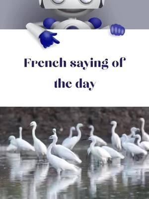 A post by @learnfrenchlpe on TikTok caption: French Phrase of the Day!"Petit a Petit, L’oiseau fait son nid "In English, this phrase literally means "Little by Little, the bird makes its nest".It’s like the saying, “Rome wasn’t built in a day”#speakfrench #polyglot #apprendrelefrançais #learnlanguages #learnfrench #learnfrench #ilovefrench #frenchclass #frenchlanguage #frances #languagelearning #wildlife #wildlifeplanet #goexplore #instagood #instadaily #studygram