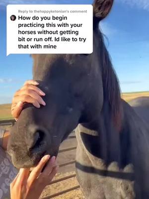 A post by @xiaofeiqin21 on TikTok caption: #foryou #tiktok #pets #animals #horse #horses #pony #caballos #foryoupage #fyp