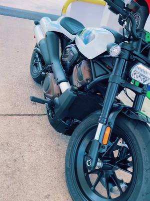 A post by @little_piggy_twelve on TikTok caption: #harley #sportsterS #motorcycle