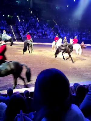 A post by @capcut.geilo on TikTok caption: Beauty 🔥#slowmo #apassionata #cavaluna #pferd #show #friese #friesenpower