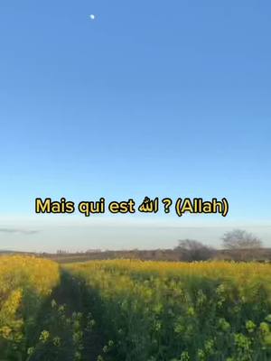 A post by @__isl__am__ on TikTok caption: Qui est الله ? #Allah #Allahuakbar #islam #Paradis #pourtoi #viral #Coran #fyp