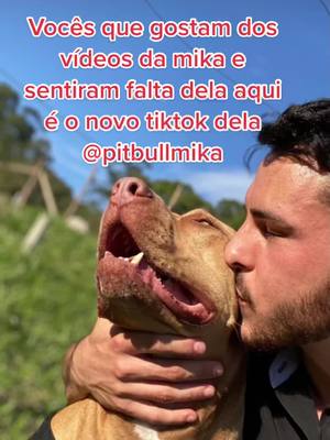 A post by @pitbull.mika on TikTok caption: Obrigado pessoal new occount @pitbullmika